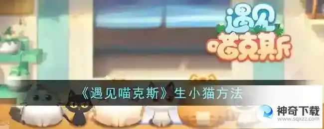 遇见喵克斯怎么生小猫