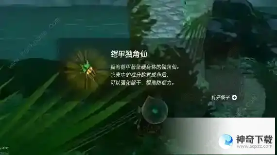 王国之泪独角仙怎么抓