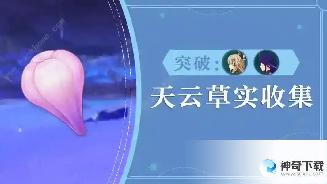 原神天云草实采集路线图