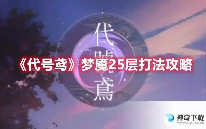 代号鸢梦魇25层打法攻略