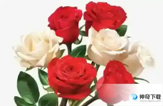 蚂蚁庄园今日答案5月28日最新 你知道吗？玫瑰最早并不是花名，而是种