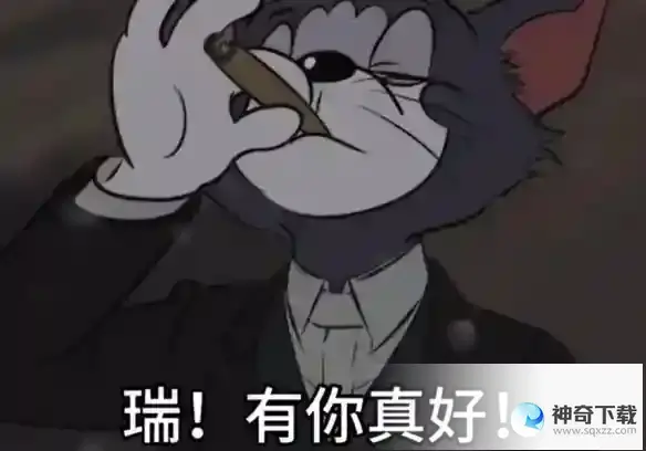 瑞你看到了吗 瑞你在看吗梗介绍