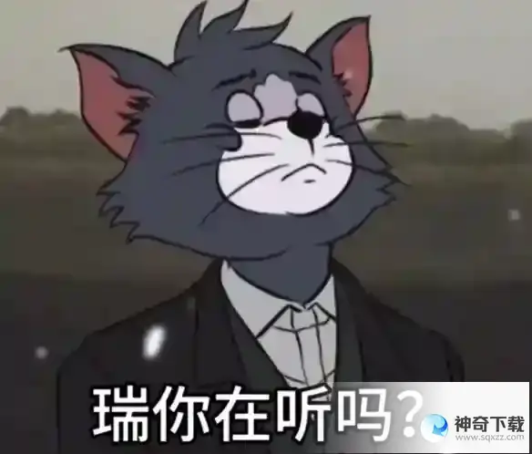 瑞你看到了吗 瑞你在看吗梗介绍