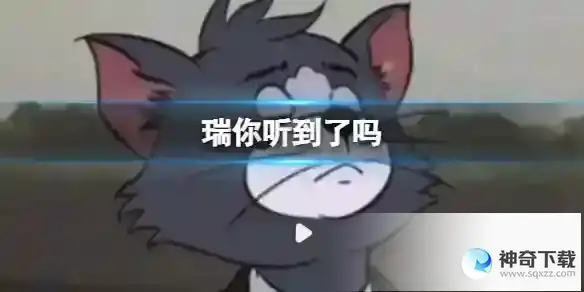 瑞你看到了吗 瑞你在看吗梗介绍