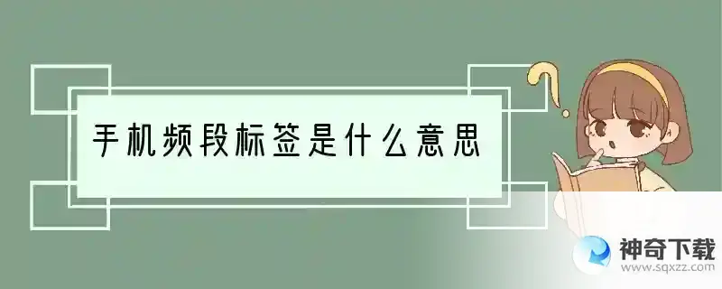 手机频段标签是什么意思