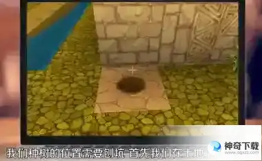 迷你世界怎么种树 种植树方法攻略