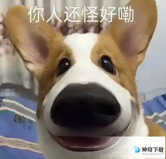 你人还怪好嘞分享意思网络用语 你人还怪好嘞梗出处