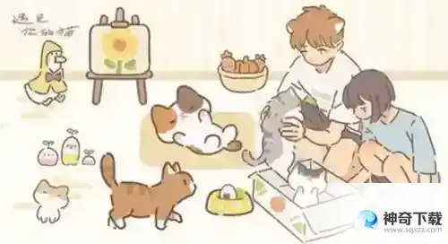 遇见你的猫兑换码2023_遇见你的猫兑换码永久有效2023