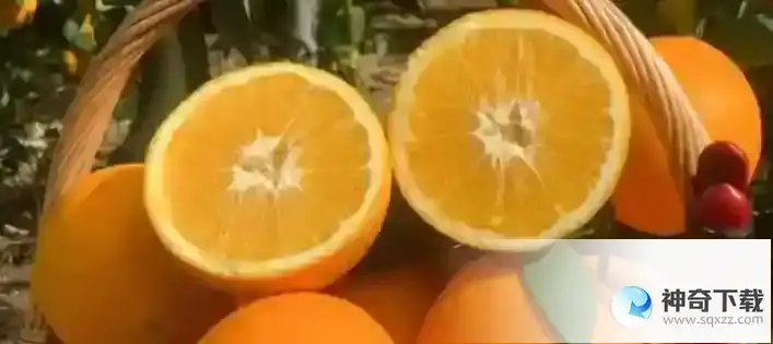 蚂蚁庄园小课堂答题答案