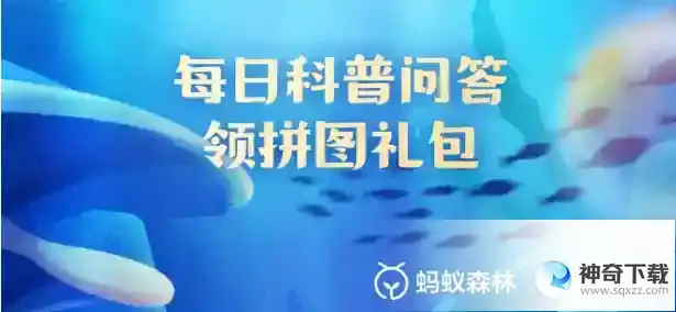 下列哪种动物的排泄物对海洋的生态起到了重要作用