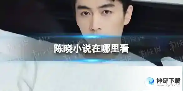 陈晓小说观看地址