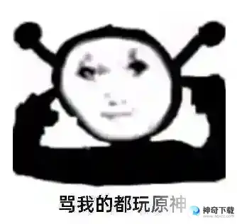玩原神玩的网络意思