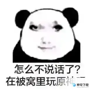 玩原神玩的网络意思