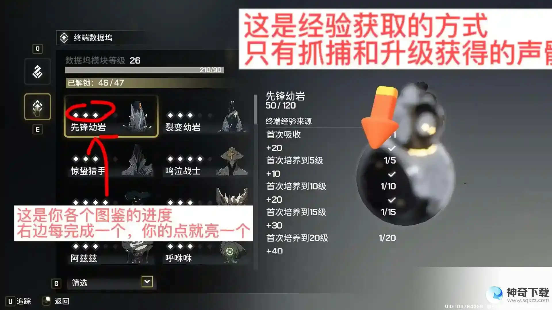 鸣潮从零开始认识声骸