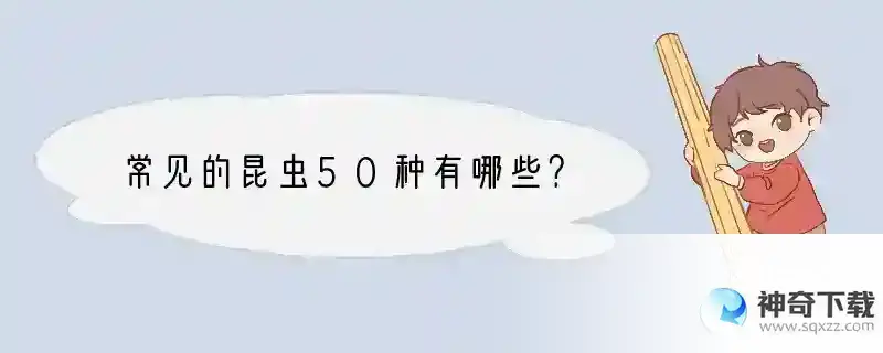 常见的昆虫50种有哪些？