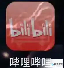 哔哩哔哩如何查看哔哩哔哩公益