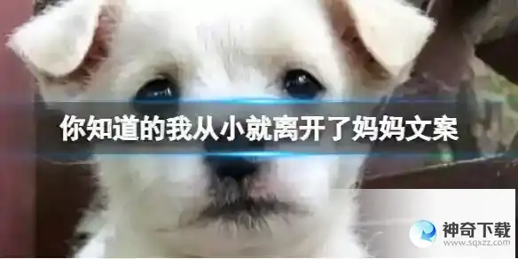 你知道的我从小就离开了妈妈文案