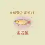 桃源深处有人家朱敬儒喜好一览
