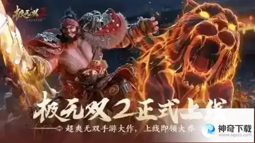 极无双2新手攻略