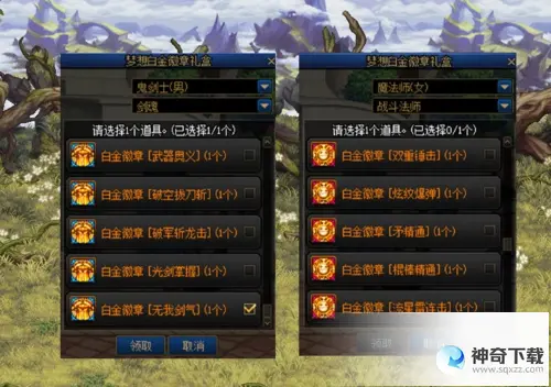 dnf白金徽章怎么镶嵌(dnf白金徽章镶嵌在buff装备上吗)