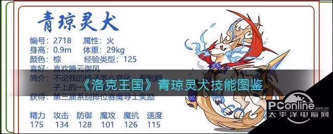 洛克王国小火龙(洛克王国宠物图鉴)