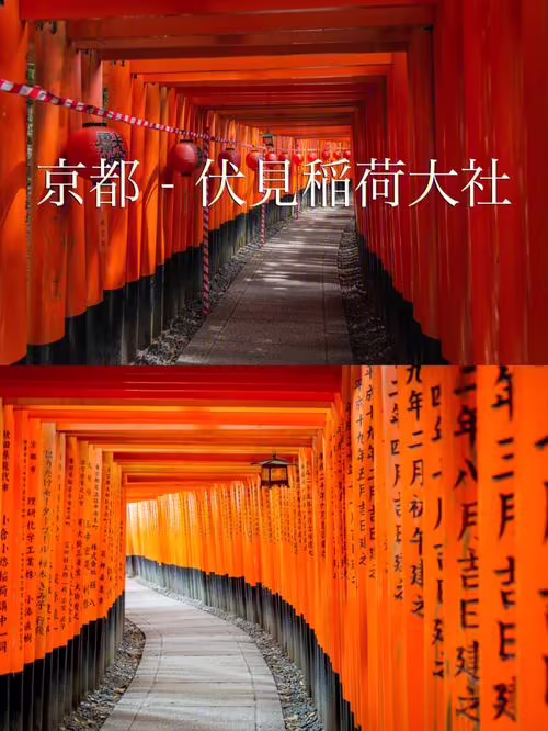 荒废神社(荒废神社留念镜调查三只狐狸)