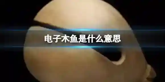 电子木鱼是什么意思 电子木鱼是什么梗