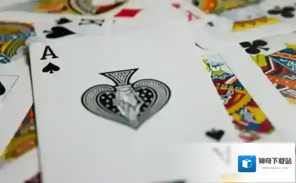棋牌游戏对家