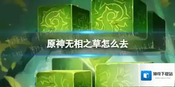 原神无相之草怎么去 原神无相之草前往方法