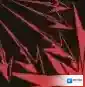 银与绯攻击力