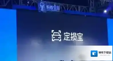 《支付宝》定损保的相关介绍