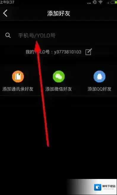 《YOLO》观看直播的方法介绍
