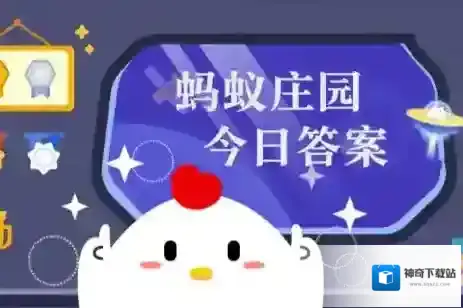 2025年6月21日小鸡庄园答案