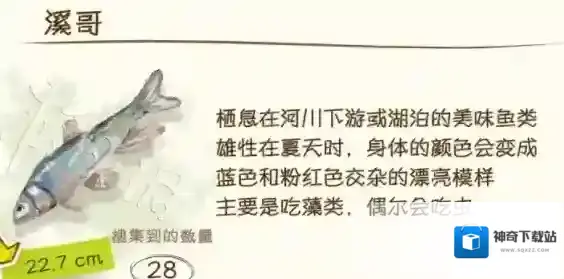 蜡笔小新煤炭镇的小白溪谷
