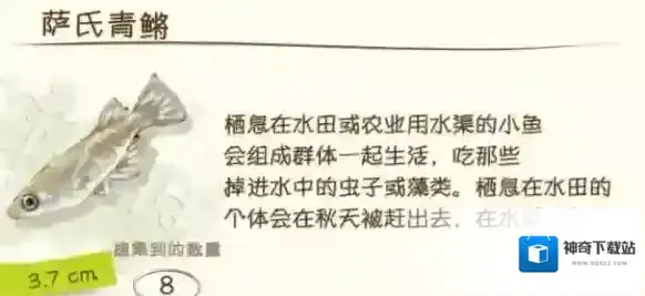 蜡笔小新煤炭镇的小白瀑布
