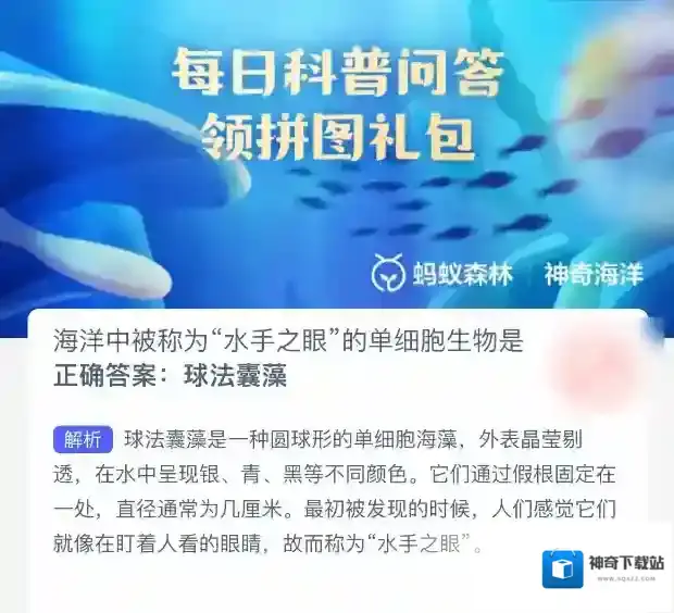 支付宝水手
