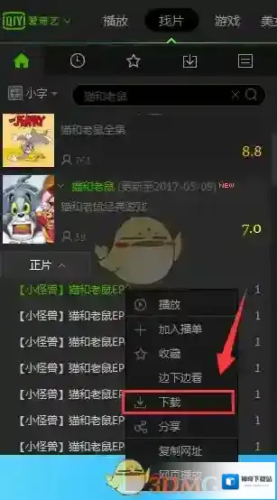 爱奇艺PPS下载的视频