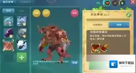 创造与魔法新宠物的位置