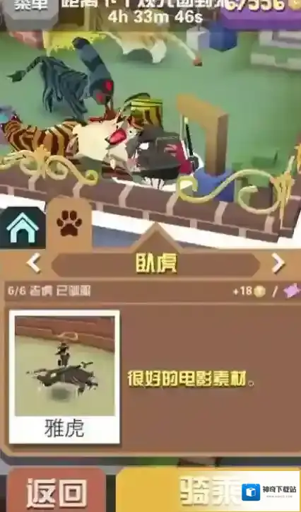 疯狂动物园游客