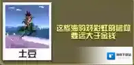 疯狂动物园幸运海豹怎么样 幸运海豹属性图鉴