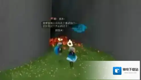 光遇玩家