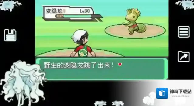 口袋妖怪漆黑魅影口袋妖怪漆黑