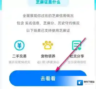 支付宝怎么查芝麻证领养状态