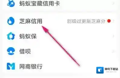 支付宝怎么查芝麻证领养状态