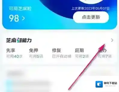支付宝怎么查芝麻证领养状态