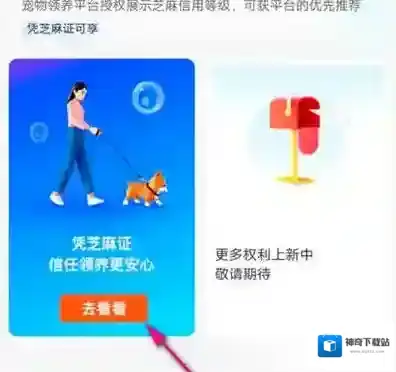 支付宝怎么查芝麻证领养状态