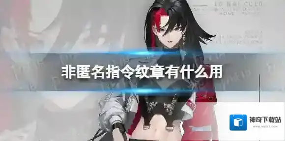 非匿名指令纹章