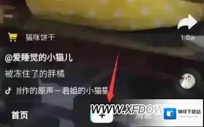 抖音长腿