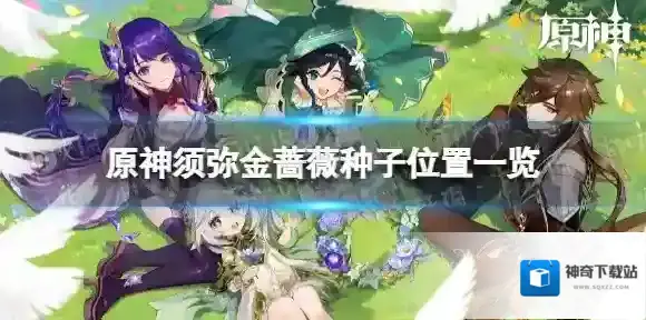 原神金蔷薇种子在哪 须弥金蔷薇种子位置一览