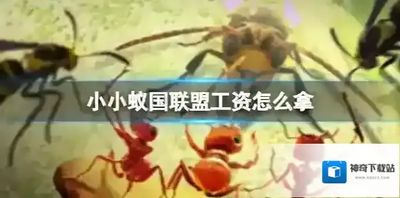 小小蚁国联盟工资怎么拿 小小蚁国怎么获取更多的联盟工资